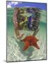 Snorkeling in the Blue Waters of the Bahamas-Greg Johnston-Mounted Photographic Print