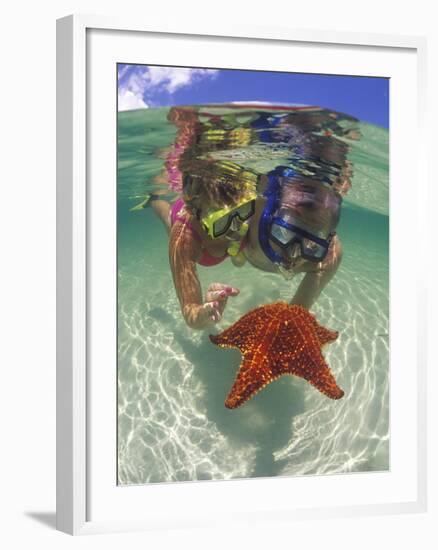 Snorkeling in the Blue Waters of the Bahamas-Greg Johnston-Framed Photographic Print