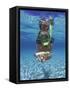 Snorkeling in the Blue Waters of the Bahamas-Greg Johnston-Framed Stretched Canvas