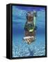 Snorkeling in the Blue Waters of the Bahamas-Greg Johnston-Framed Stretched Canvas