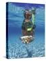 Snorkeling in the Blue Waters of the Bahamas-Greg Johnston-Stretched Canvas