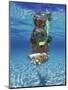 Snorkeling in the Blue Waters of the Bahamas-Greg Johnston-Mounted Photographic Print
