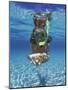 Snorkeling in the Blue Waters of the Bahamas-Greg Johnston-Mounted Photographic Print