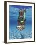 Snorkeling in the Blue Waters of the Bahamas-Greg Johnston-Framed Photographic Print