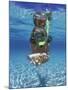 Snorkeling in the Blue Waters of the Bahamas-Greg Johnston-Mounted Photographic Print