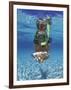 Snorkeling in the Blue Waters of the Bahamas-Greg Johnston-Framed Photographic Print