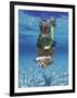 Snorkeling in the Blue Waters of the Bahamas-Greg Johnston-Framed Photographic Print