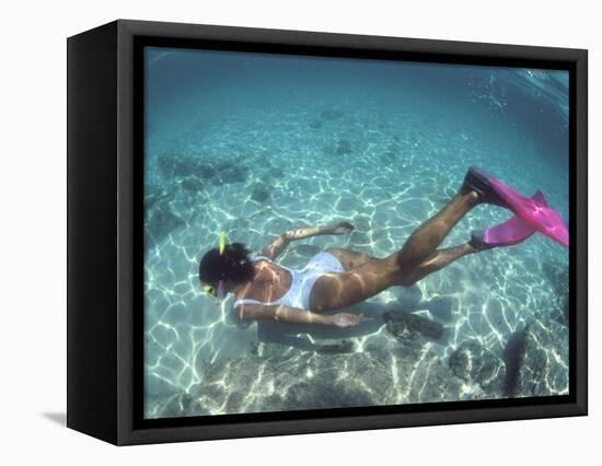 Snorkeling the Bimini Road, North Bimini, out Islands of the Bahamas-Greg Johnston-Framed Stretched Canvas