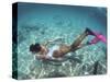 Snorkeling the Bimini Road, North Bimini, out Islands of the Bahamas-Greg Johnston-Stretched Canvas