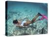 Snorkeling the Bimini Road, North Bimini, out Islands of the Bahamas-Greg Johnston-Stretched Canvas