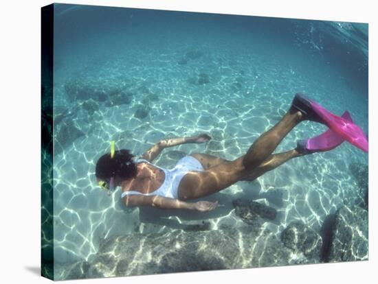 Snorkeling the Bimini Road, North Bimini, out Islands of the Bahamas-Greg Johnston-Stretched Canvas
