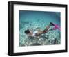 Snorkeling the Bimini Road, North Bimini, out Islands of the Bahamas-Greg Johnston-Framed Photographic Print