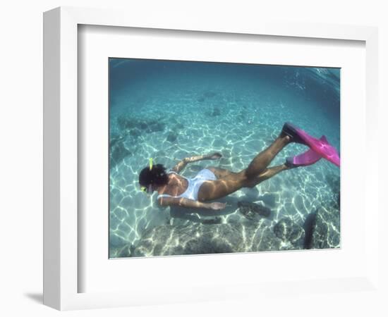 Snorkeling the Bimini Road, North Bimini, out Islands of the Bahamas-Greg Johnston-Framed Photographic Print