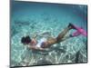 Snorkeling the Bimini Road, North Bimini, out Islands of the Bahamas-Greg Johnston-Mounted Photographic Print