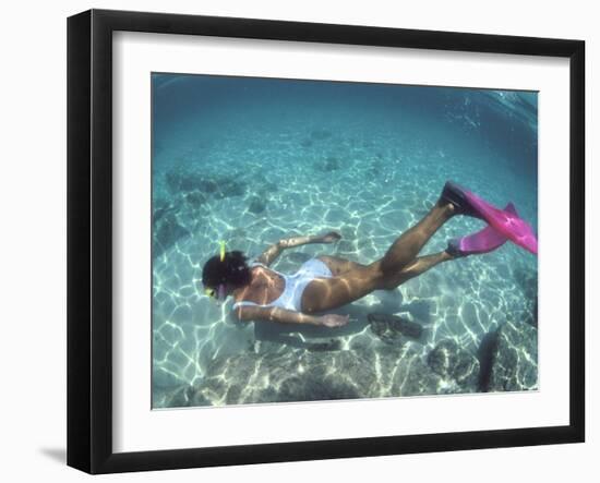 Snorkeling the Bimini Road, North Bimini, out Islands of the Bahamas-Greg Johnston-Framed Photographic Print