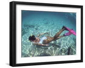 Snorkeling the Bimini Road, North Bimini, out Islands of the Bahamas-Greg Johnston-Framed Photographic Print