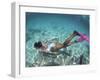 Snorkeling the Bimini Road, North Bimini, out Islands of the Bahamas-Greg Johnston-Framed Photographic Print