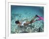 Snorkeling the Bimini Road, North Bimini, out Islands of the Bahamas-Greg Johnston-Framed Photographic Print