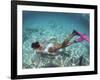 Snorkeling the Bimini Road, North Bimini, out Islands of the Bahamas-Greg Johnston-Framed Photographic Print