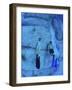 Snorkeling the Bimini Road, North Bimini, out Islands of the Bahamas-Greg Johnston-Framed Photographic Print