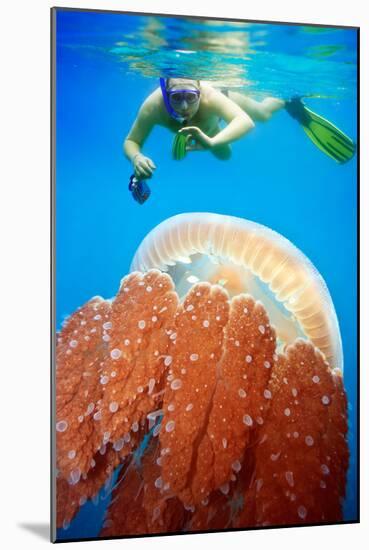 Snorkeling with Jellyfish-GoodOlga-Mounted Photographic Print