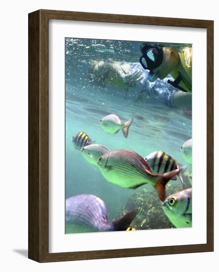 Snorkeling-Karen Williams-Framed Photographic Print