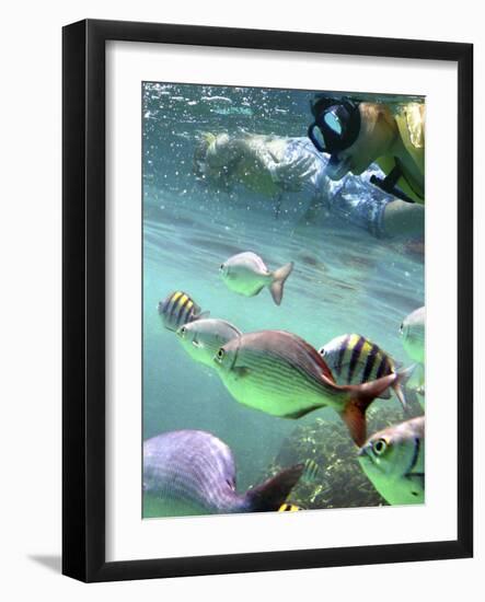 Snorkeling-Karen Williams-Framed Photographic Print