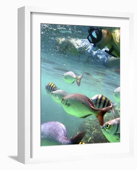 Snorkeling-Karen Williams-Framed Photographic Print