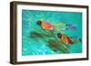 Snorkellers-William Ireland-Framed Giclee Print