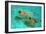 Snorkellers-William Ireland-Framed Giclee Print