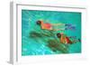 Snorkellers-William Ireland-Framed Giclee Print