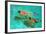 Snorkellers-William Ireland-Framed Giclee Print