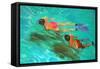 Snorkellers-William Ireland-Framed Stretched Canvas