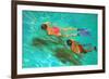 Snorkellers-William Ireland-Framed Giclee Print