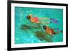 Snorkellers-William Ireland-Framed Giclee Print