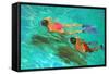 Snorkellers-William Ireland-Framed Stretched Canvas