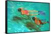 Snorkellers-William Ireland-Framed Stretched Canvas