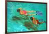 Snorkellers-William Ireland-Framed Giclee Print