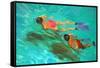 Snorkellers-William Ireland-Framed Stretched Canvas