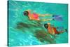 Snorkellers-William Ireland-Stretched Canvas