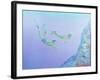 Snorklers-William Ireland-Framed Giclee Print