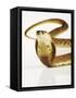 Snouted Cobra-Martin Harvey-Framed Stretched Canvas