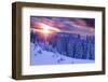 Snovy Trees on Winter Mountains-mr. Smith-Framed Photographic Print