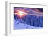 Snovy Trees on Winter Mountains-mr. Smith-Framed Photographic Print