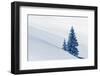 Snovy Trees on Winter Mountains-mr. Smith-Framed Photographic Print