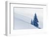 Snovy Trees on Winter Mountains-mr. Smith-Framed Photographic Print