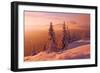 Snovy Trees on Winter Mountains-mr. Smith-Framed Photographic Print