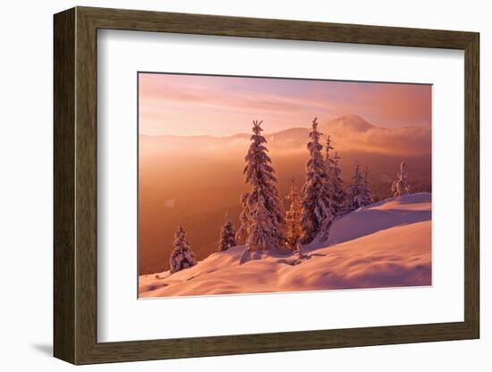 Snovy Trees on Winter Mountains-mr. Smith-Framed Photographic Print