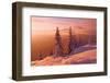 Snovy Trees on Winter Mountains-mr. Smith-Framed Photographic Print