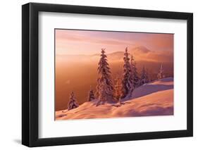 Snovy Trees on Winter Mountains-mr. Smith-Framed Photographic Print